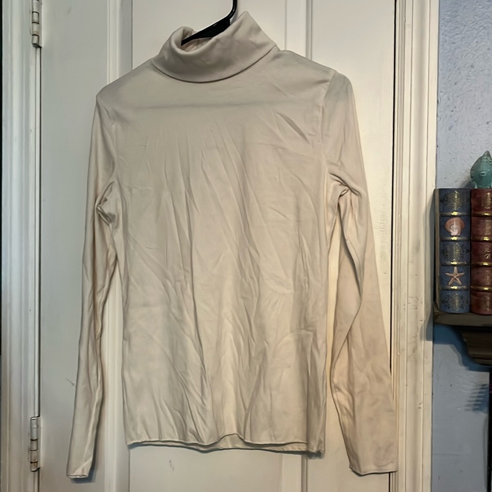Wild Fable size Large cream turtleneck top. LIKE NEW